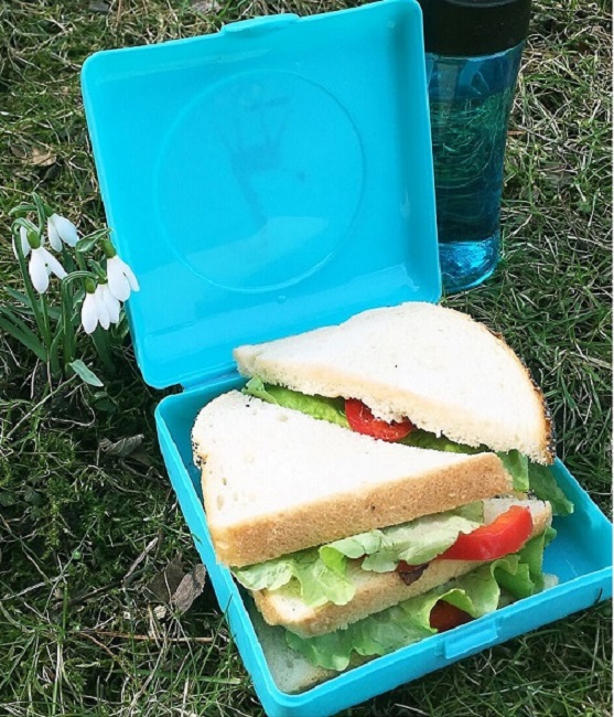 Sviestmaižu kaste - Carl Oscar Sandwich Box Blue Giraffe