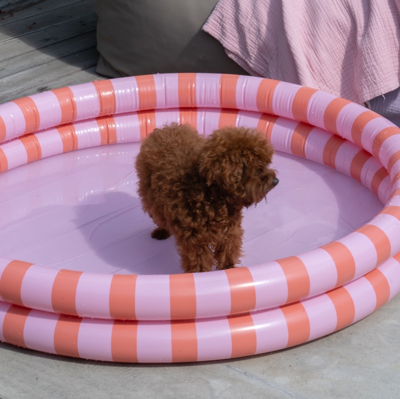 Baseins bērniem piepūšamais Swim Essentials Pink Stripes