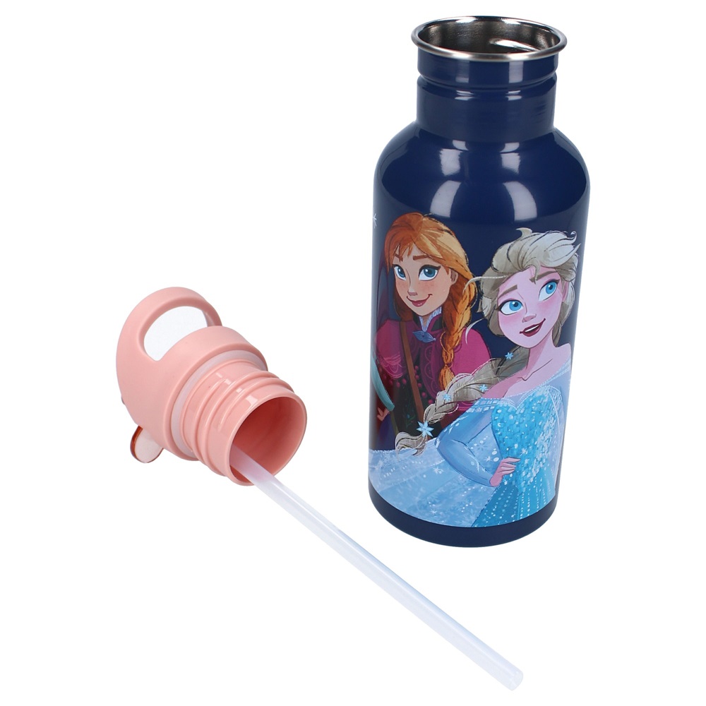 Ūdens pudele bērniem Pret Take A Sip Frozen